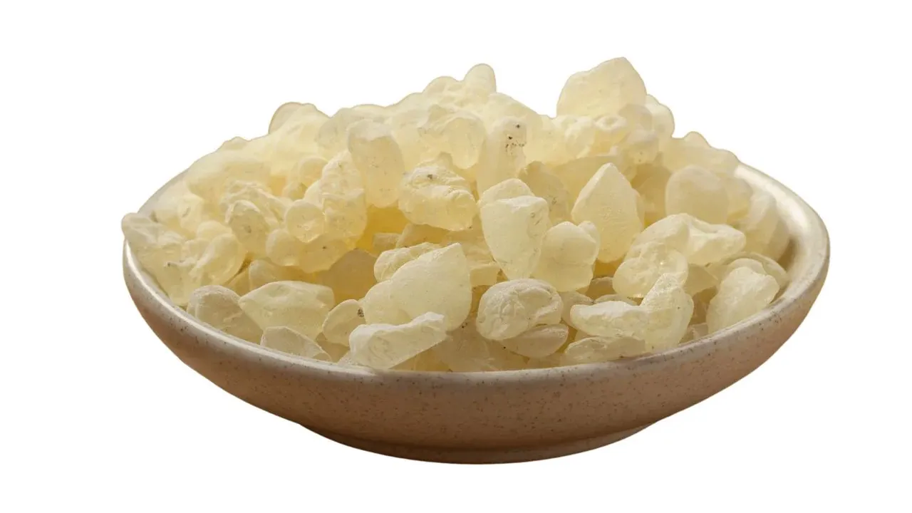 3 Health Benefits Of Mastic Gum, What Is It, & How Much To Take