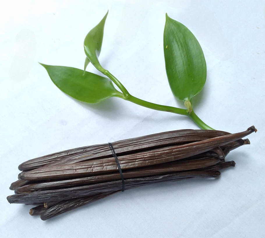 Creative Uses of Organic Vanilla Beans Sharp Coder Blog